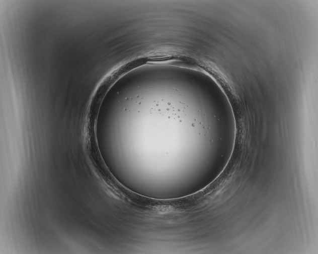 X0000116260392200911301157