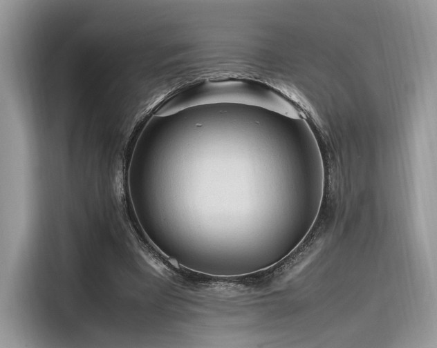 X0000116260393200911301157