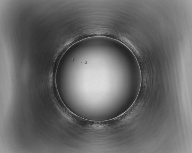 X0000116260394200911301157