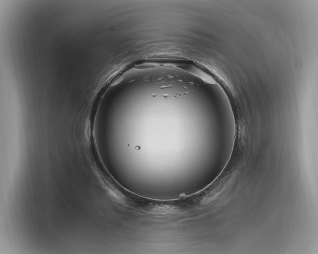 X0000116260397200911301157