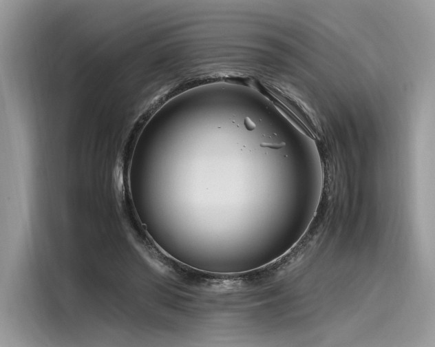 X0000116260398200911301157