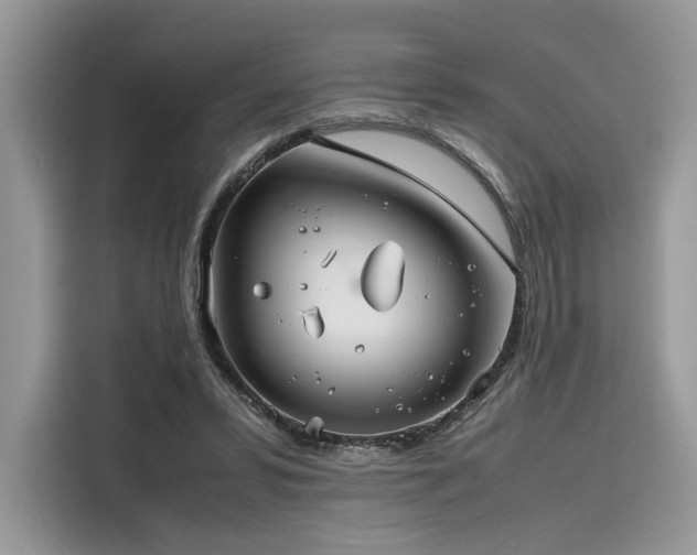 X0000116260399200911301157