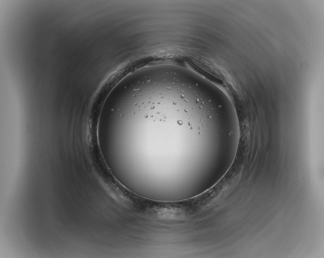 X0000116260400200911301157