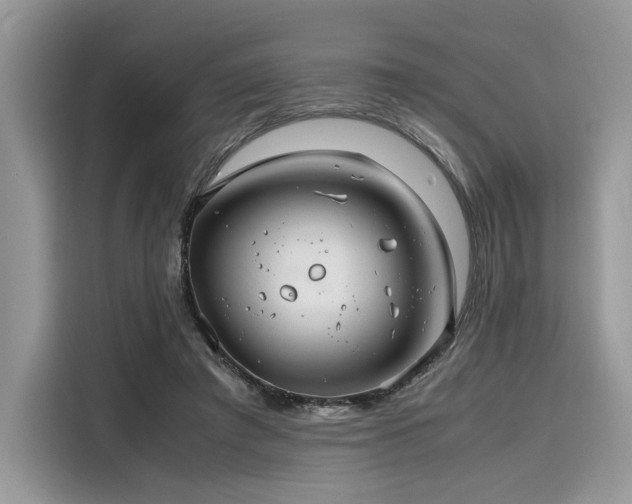 X0000116260401200911301157