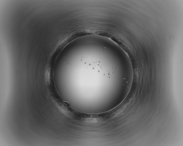 X0000116260404200911301157