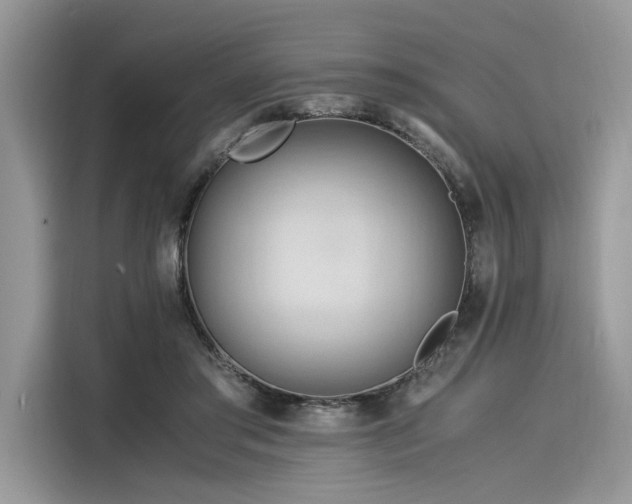 X0000116260405200911301157