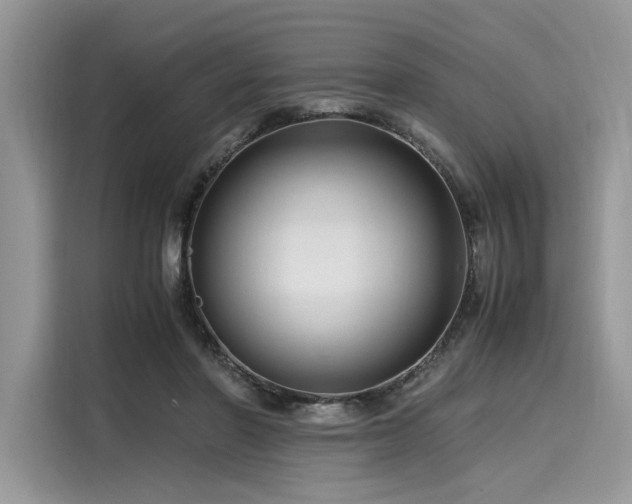 X0000116260406200911301157