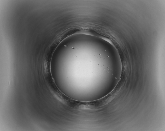 X0000116260408200911301157