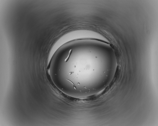 X0000116260409200911301157