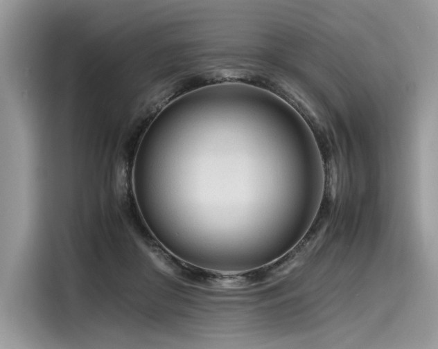X0000116260410200911301157