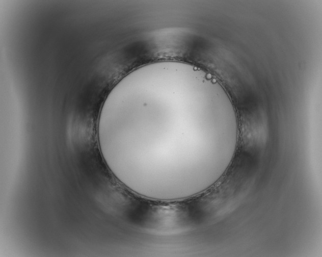 X0000116260411200911301157