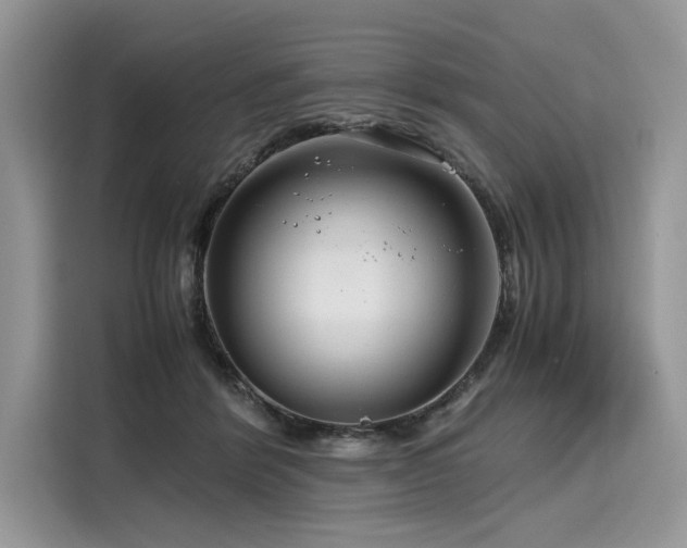 X0000116260412200911301157