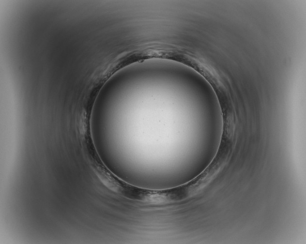 X0000116260413200911301157