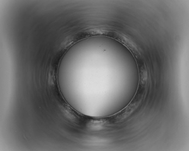 X0000116260414200911301157