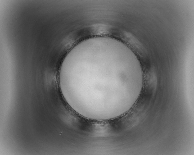 X0000116260415200911301157