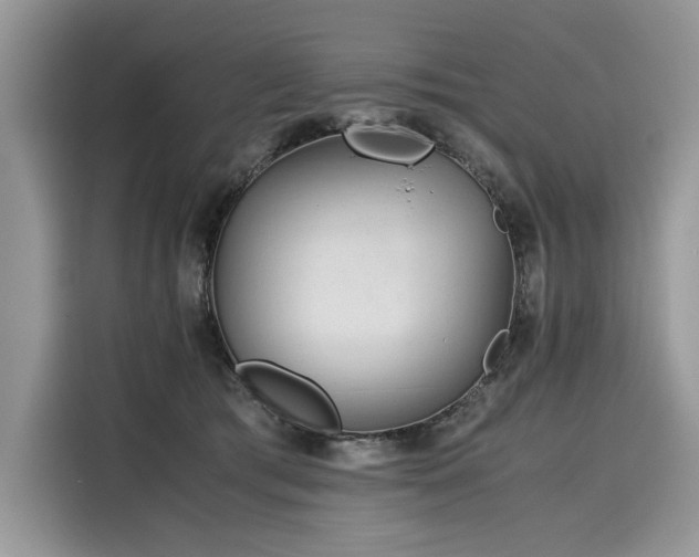 X0000116260417200911301157