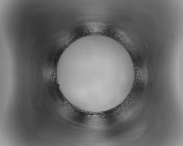 X0000116260419200911301157
