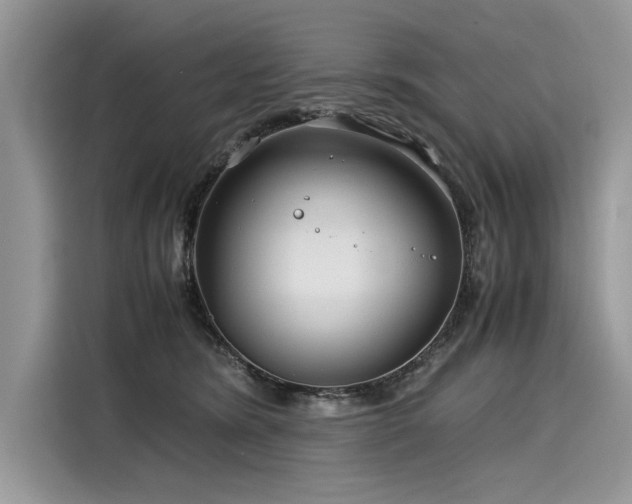 X0000116260420200911301157