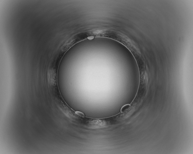 X0000116260421200911301157