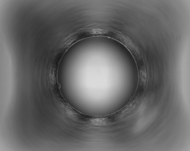 X0000116260422200911301157