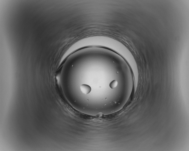 X0000116260423200911301157