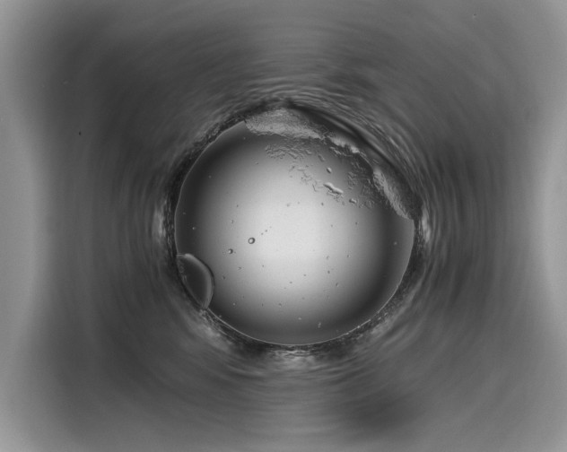 X0000116260424200911301157