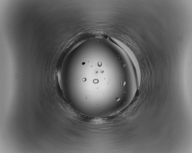 X0000116260425200911301157