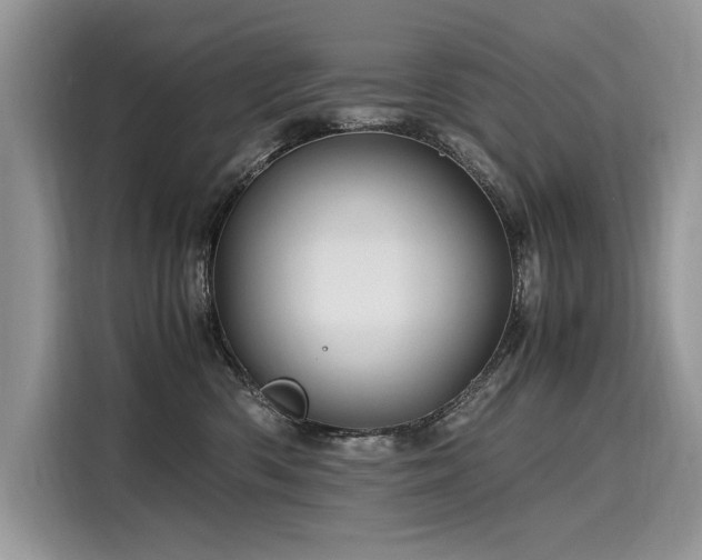 X0000116260426200911301157