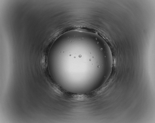 X0000116260428200911301157