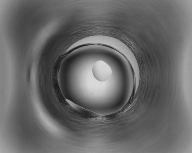 X0000116260429200911301157