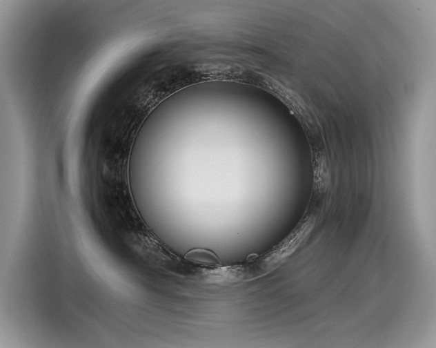 X0000116260430200911301157