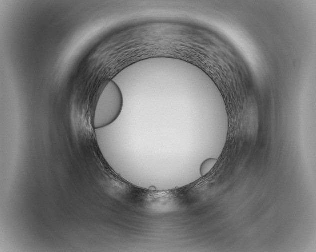 X0000116260431200911301157