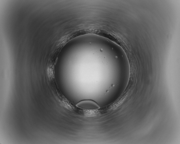 X0000116260432200911301157