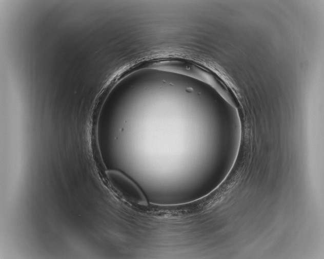 X0000116260434200911301156