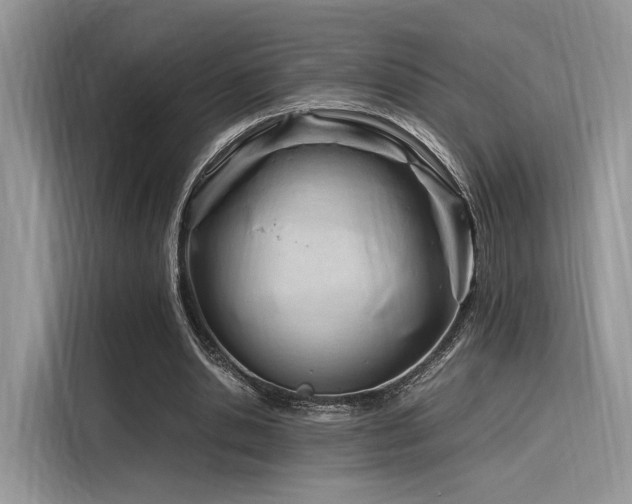 X0000116260438200911301156