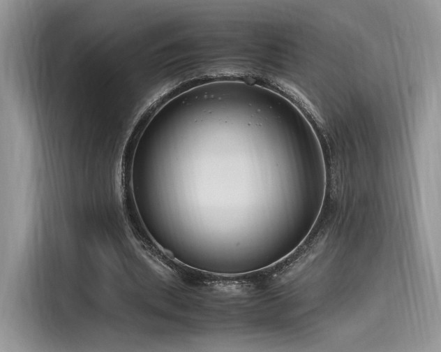 X0000116260439200911301156