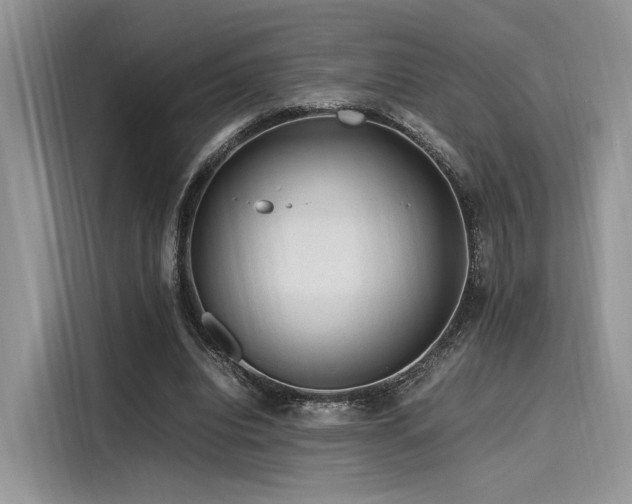 X0000116260440200911301156