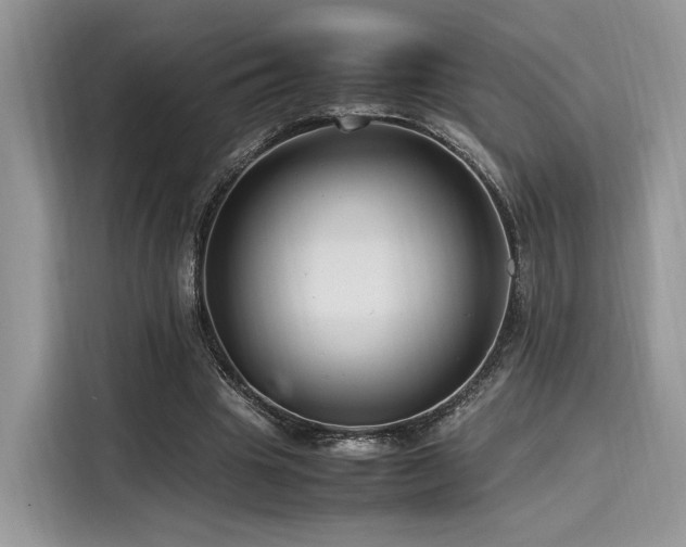 X0000116260441200911301156