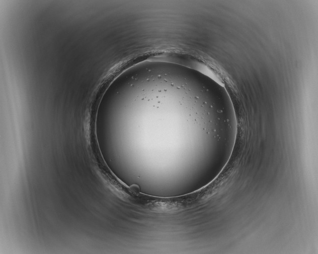 X0000116260442200911301156