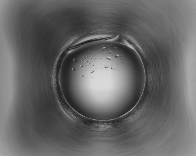 X0000116260443200911301156