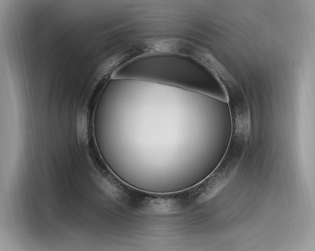 X0000116260444200911301156