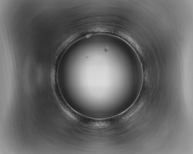 X0000116260445200911301156