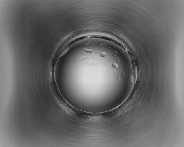 X0000116260446200911301156