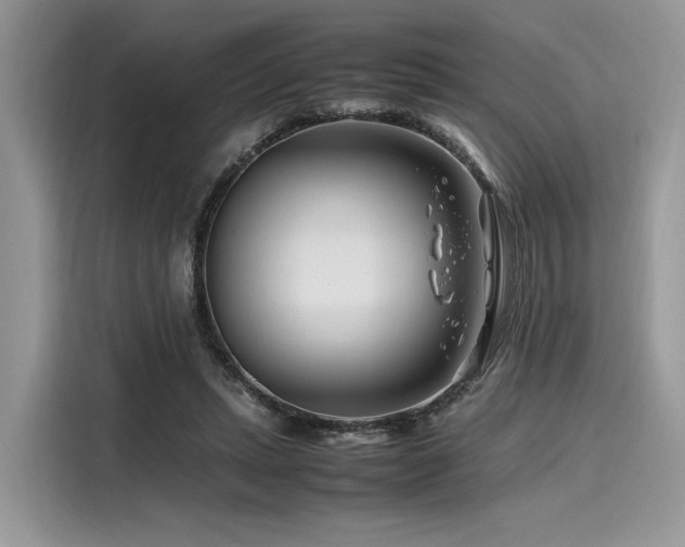 X0000116260447200911301156