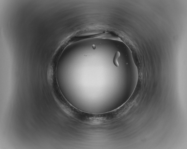 X0000116260448200911301156