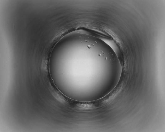 X0000116260449200911301156