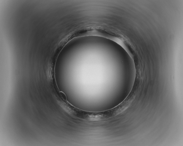 X0000116260450200911301156