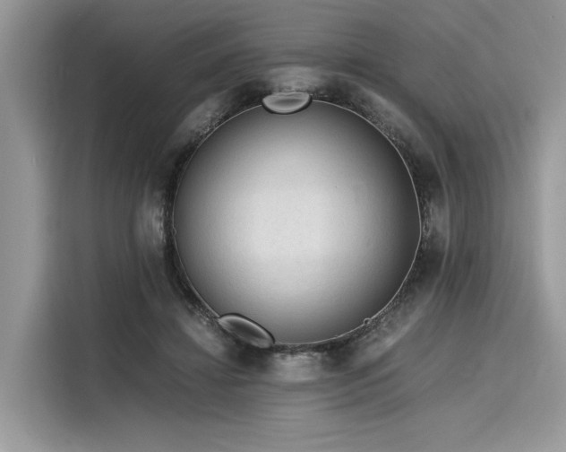 X0000116260452200911301156