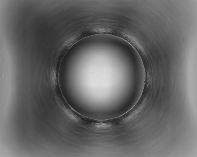 X0000116260453200911301156