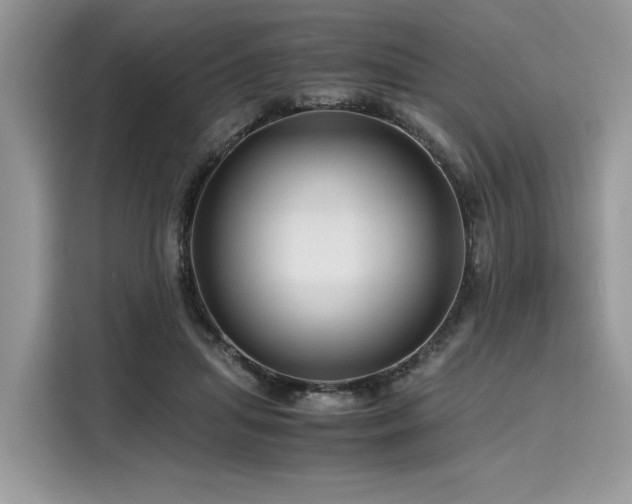 X0000116260455200911301156